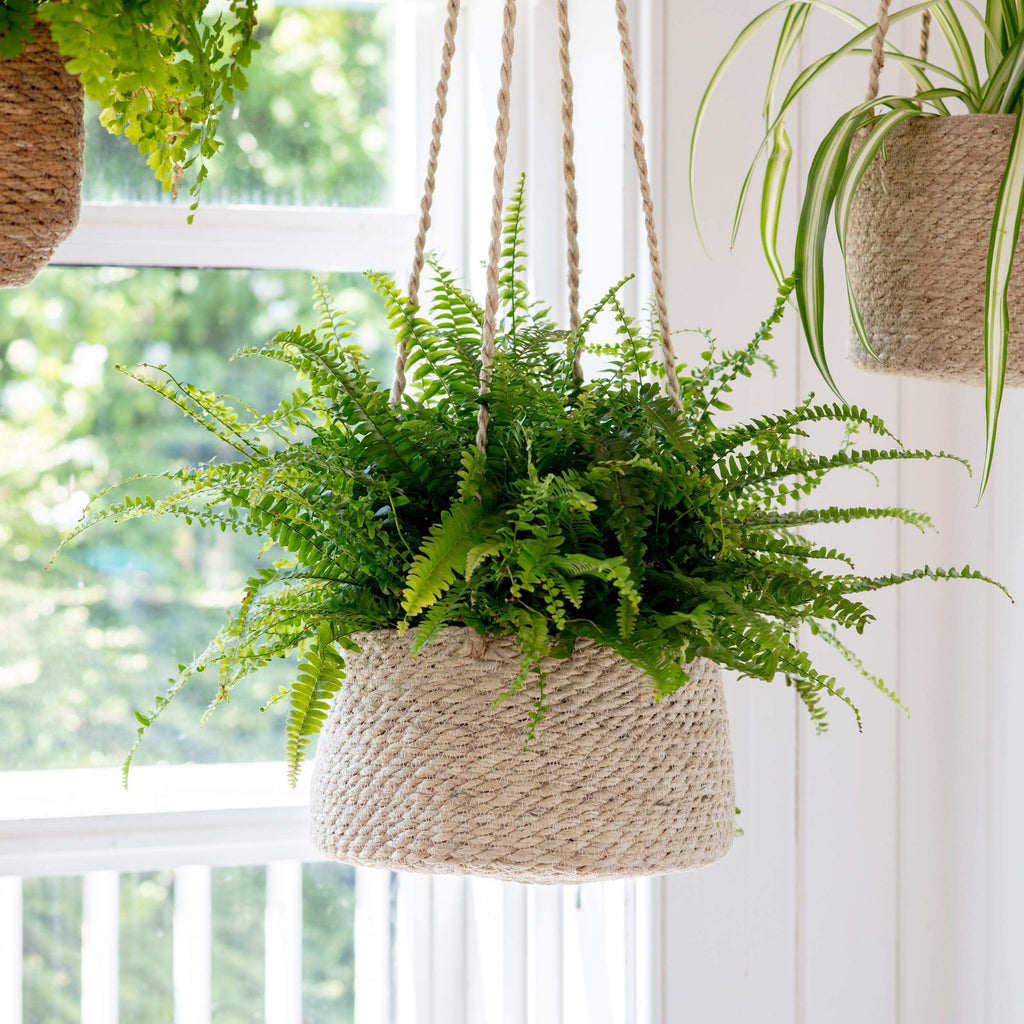 Hanging Plant Pots-Planters-Yester Home