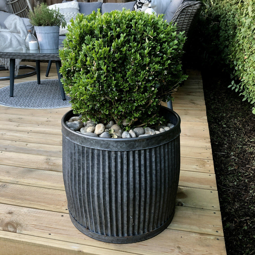 Round Dolly Tub Planters-Planters-Yester Home