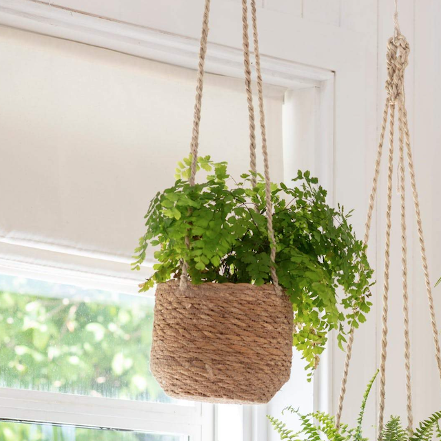 Hanging Plant Pots-Planters-Yester Home