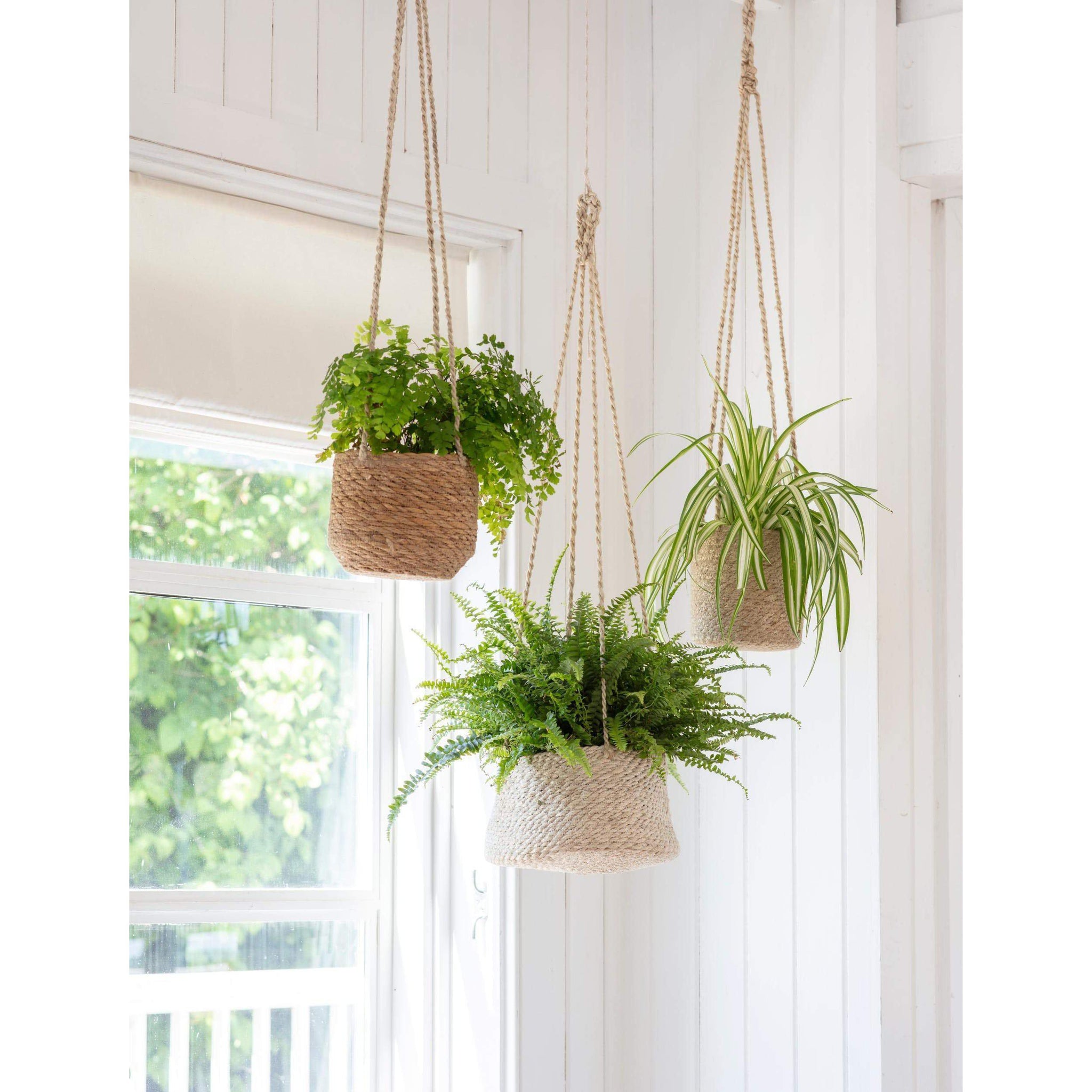 hanging plant pots uk Hanging Plant Pots – The Little House Shop