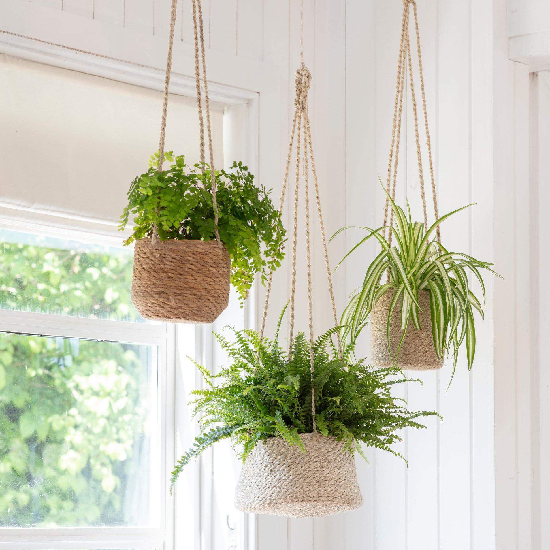 hanging plants uk Hanging Plant Pots – The Little House Shop