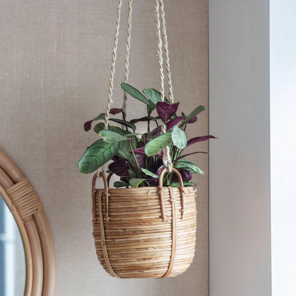 Mayfield Rattan Hanging Plant Pot-Planters-Yester Home