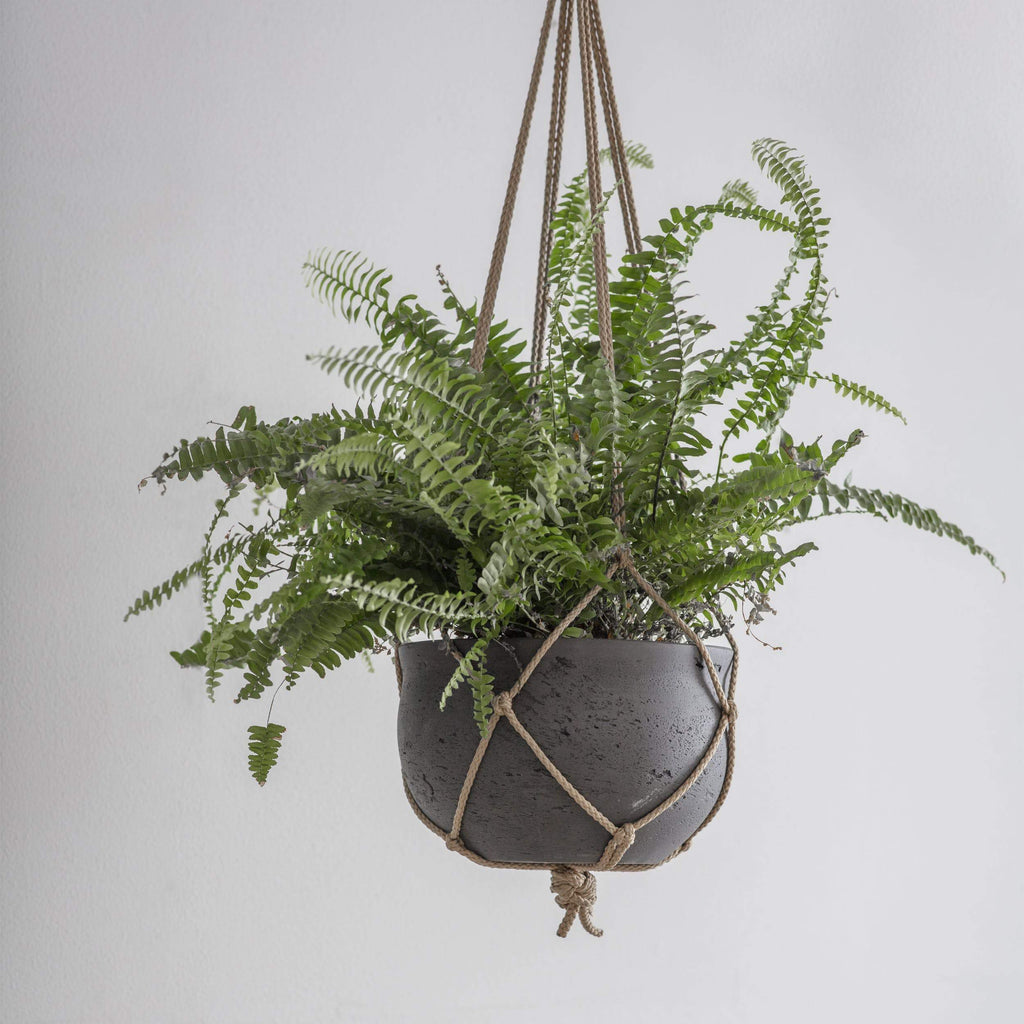 Stratton Hanging Pot-Planters-Yester Home