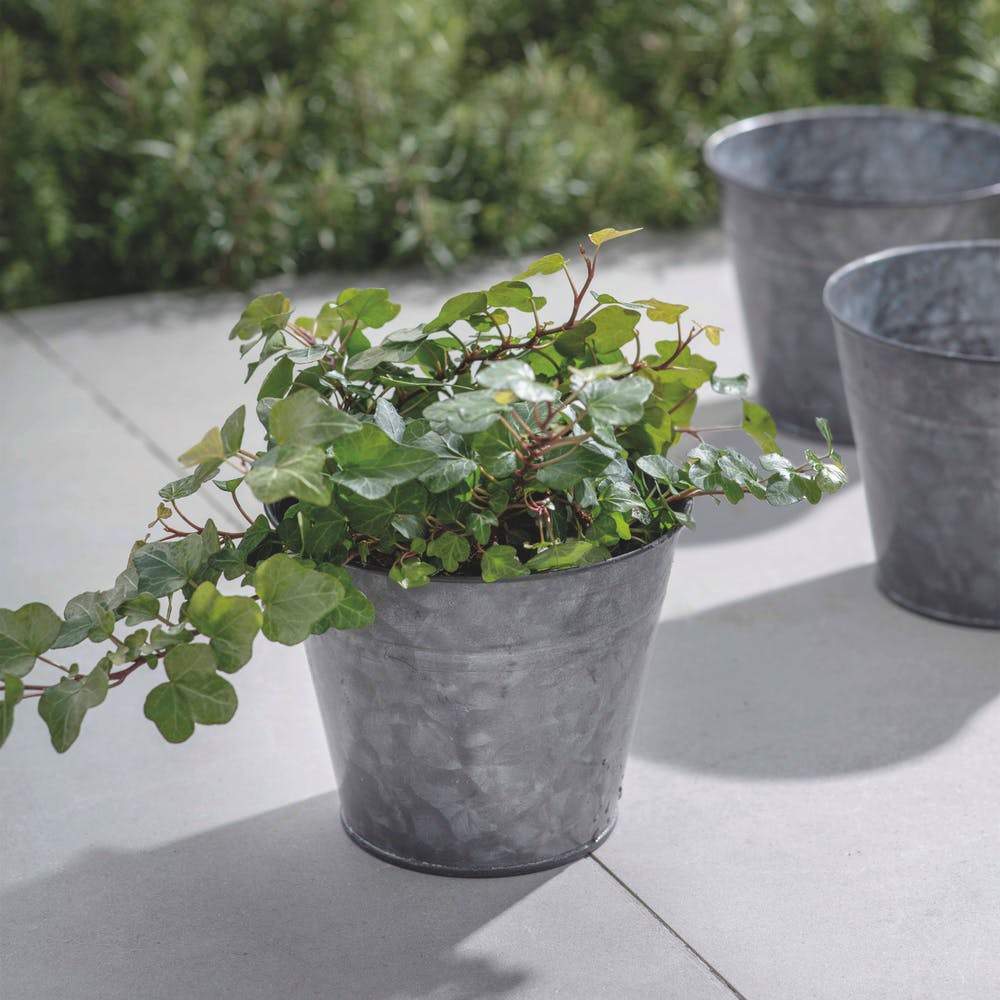 Winson Plant Pot-Planters-Yester Home